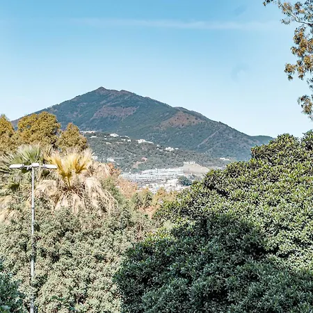 Jdg 6-1-c Apartment Marbella